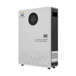 Pin Lưu Trữ Lithium LVTOPSUN 51.2V 100AH - Image 3